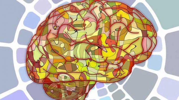 ছবি: ইন্টারনেট