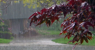 আজও রাজধানীতে দমকা হাওয়াসহ বৃষ্টি হতে পারে আজও রাজধানীতে দমকা হাওয়াসহ বৃষ্টি হতে পারে