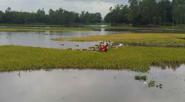 সংগৃহীত ছবি