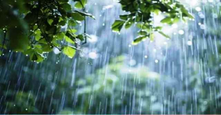 সারা দেশে বৃষ্টির সম্ভাবনা নিয়ে যা জানা গেল সারা দেশে বৃষ্টির সম্ভাবনা নিয়ে যা জানা গেল