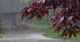 রাজধানীতে ৩৬ মিলিমিটার বৃষ্টিপাত রেকর্ড