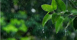 বৃষ্টির সম্ভাব্য তারিখ জানালো আবহাওয়া অফিস বৃষ্টির সম্ভাব্য তারিখ জানালো আবহাওয়া অফিস