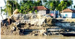 তীব্র ভাঙনে ব্রহ্মপুত্র নদে বিলীন ২৫ বাড়ি