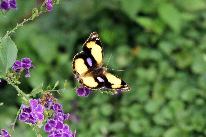 ছবি: সংগ্রহিত।