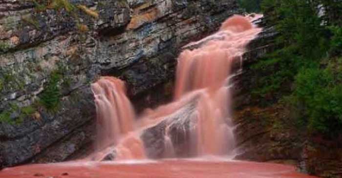 ছবি: ইন্টারনেট