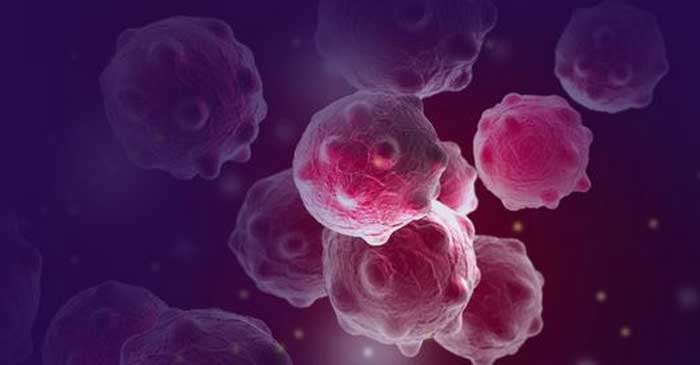 ছবি: ইন্টারনেট