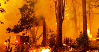 ক্যালিফোর্নিয়ায় ছড়াচ্ছে দাবানল, সরানো হলো ৬ হাজার বাসিন্দাকে