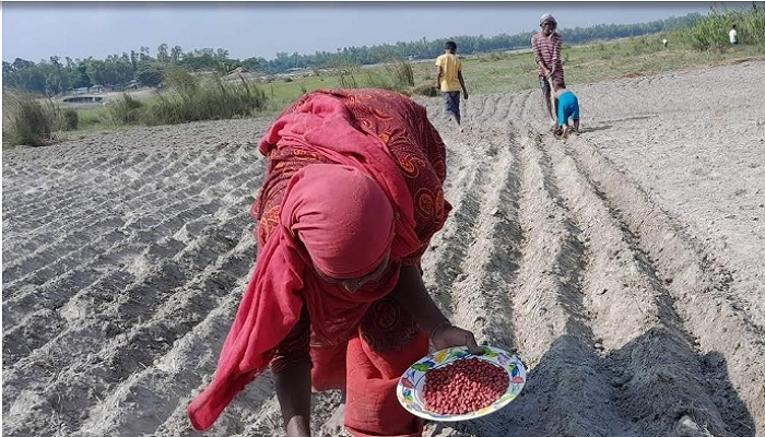 ফাইল ছবি