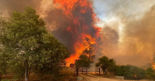 চিলিতে দাবানলে নিহত বেড়ে ৯৯, জরুরি অবস্থা জারি চিলিতে দাবানলে নিহত বেড়ে ৯৯, জরুরি অবস্থা জারি