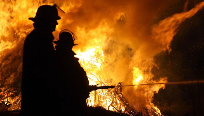 ফাইল ছবি