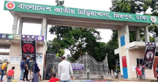 ঈদের প্রথম দিনে চিড়িয়াখানায় ছিলো না দর্শনার্থীর চাপ