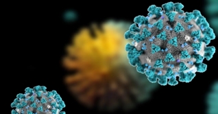 নিউজিল্যান্ডে গত ছয় মাসে করোনায় প্রথম মৃত্যু