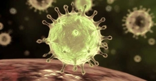 সোনাগাজীতে করোনার উপসর্গ নিয়ে এক ব্যক্তির মৃত্যু