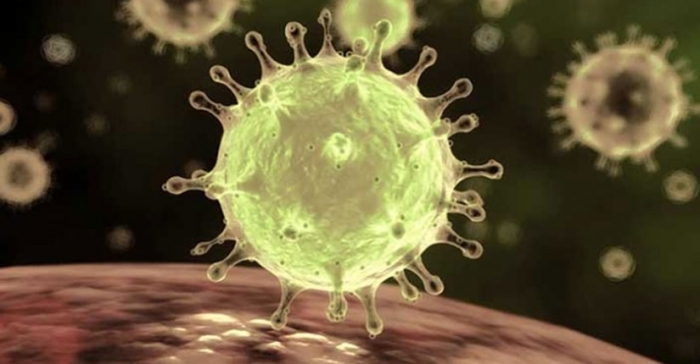 ছবি: ইন্টারনেট