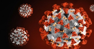 করোনায় বেকার হতে পারে আড়াই কোটি মানুষ: জাতিসংঘ