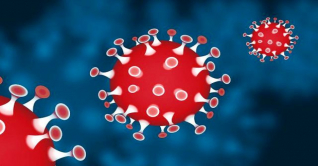 করোনায় টানা ৬ দিন মৃত্যুশূন্য দেশ, শনাক্ত ৪২