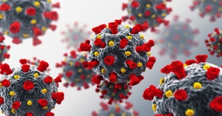 দেশে করোনায় মৃত্যু ৩৬, আক্রান্ত ১২ হাজার ১৯৩