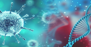 জরুরি প্রয়োজন ছাড়া করোনা আক্রান্ত দেশে ভ্রমণ না করার পরামর্শ