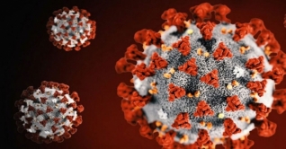 চুয়াডাঙ্গায় করোনার উপসর্গ নিয়ে এক নারীর মৃত্যু