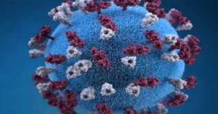 কুড়িগ্রামে করোনার উপসর্গ নিয়ে ৮ মাসের শিশুর মৃত্যু