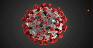 করোনায় কুমিল্লা মেডিকেলে একদিনে ৮ মৃত্যু