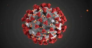 করোনায় চট্টগ্রামে নতুন শনাক্ত ২ জন