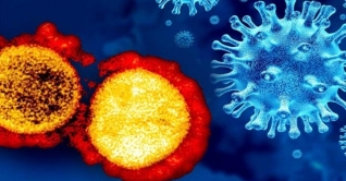 করোনার নতুন ভ্যারিয়েন্ট ভয়াবহ হবে না
