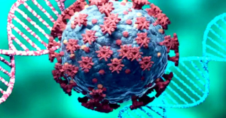 করোনার নতুন ভ্যারিয়েন্ট জেএন-১