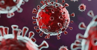 দেশে চার ভ্যারিয়েন্টের করোনা শনাক্ত