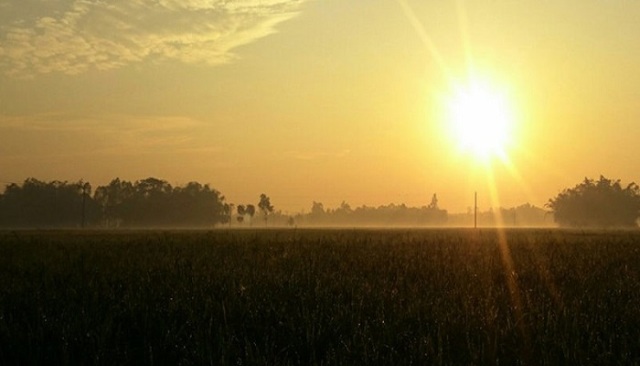 ফাইল ছবি