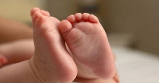 নবজাতকের লাশ ঢামেক এলাকায় ফেলে গেল কুকুর