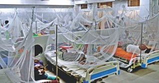 বাড়ছে ডেঙ্গু রোগী, ঝুঁকিতে শিশুরা বাড়ছে ডেঙ্গু রোগী, ঝুঁকিতে শিশুরা