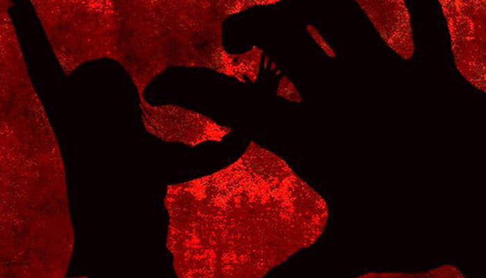 ফাইল ছবি