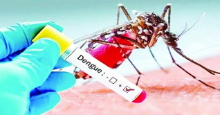 ২৪ ঘণ্টায় ডেঙ্গুতে একজনের মৃত্যু, শনাক্ত ১৮২ ২৪ ঘণ্টায় ডেঙ্গুতে একজনের মৃত্যু, শনাক্ত ১৮২