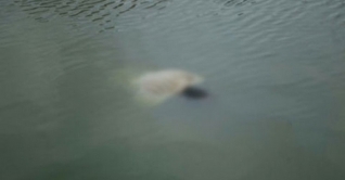 ভোলার লালমোহনে পুকুরে ডুবে শিশুর মৃত্য