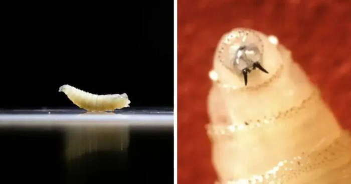 ছবি: সংগ্রহিত।