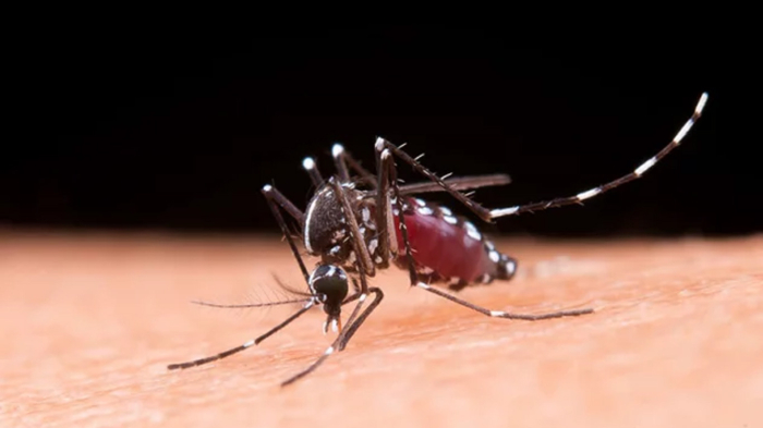 প্রতীকী ছবি