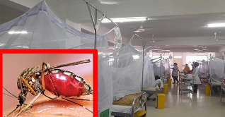 সব সরকারি হাসপাতালে ডেঙ্গু কর্নার চালু সব সরকারি হাসপাতালে ডেঙ্গু কর্নার চালু