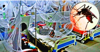 ডেঙ্গু: একদিনে রেকর্ড রোগী হাসপাতালে, ২ জনের মৃত্যু ডেঙ্গু: একদিনে রেকর্ড রোগী হাসপাতালে, ২ জনের মৃত্যু