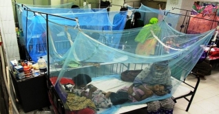 একদিনে আরও ১৯০ ডেঙ্গু রোগী হাসপাতালে ভর্তি একদিনে আরও ১৯০ ডেঙ্গু রোগী হাসপাতালে ভর্তি