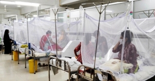 ২৪ ঘণ্টায় আরও ১৭০ ডেঙ্গুরোগী হাসপাতালে ২৪ ঘণ্টায় আরও ১৭০ ডেঙ্গুরোগী হাসপাতালে