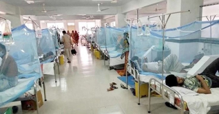 ডেঙ্গুতে একজনের মৃত্যু, হাসপাতালে ৩৩৪