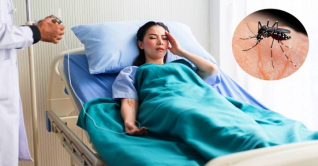 বাড়ছে ডেঙ্গু, ভাইরাস জ্বর ভেবে অবহেলা করবেন না বাড়ছে ডেঙ্গু, ভাইরাস জ্বর ভেবে অবহেলা করবেন না