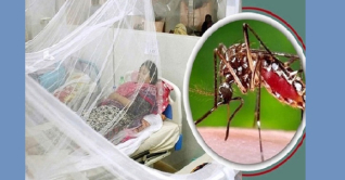 সেপ্টেম্বরে ডেঙ্গুতে ৮০ প্রাণহানি, আক্রান্ত ১৮০৯৭