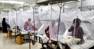 সারাদেশে ডেঙ্গুতে মৃত্যু ১, হাসপাতালে ১২৮ সারাদেশে ডেঙ্গুতে মৃত্যু ১, হাসপাতালে ১২৮