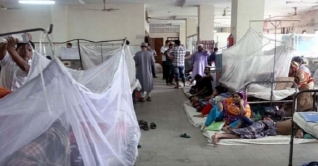 ২৪ ঘণ্টায় হাসপাতালে ভর্তি ২৩৩৪ ডেঙ্গু রোগী