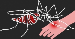 ডেঙ্গুতে ঢাকা মেডিকেলে এক নারীর মৃত্যু 