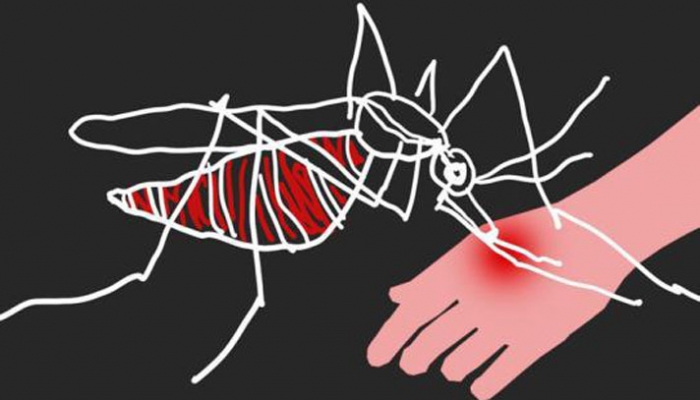 প্রতীকী ছবি