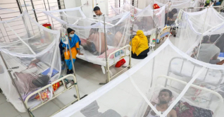 ডেঙ্গুতে রেকর্ড প্রাণহানি, হাসপাতালে ভর্তি ১৭৯২ ডেঙ্গুতে রেকর্ড প্রাণহানি, হাসপাতালে ভর্তি ১৭৯২