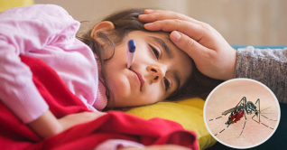 ডেঙ্গু সতর্কতা: কী করবেন, কী করবেন না ডেঙ্গু সতর্কতা: কী করবেন, কী করবেন না